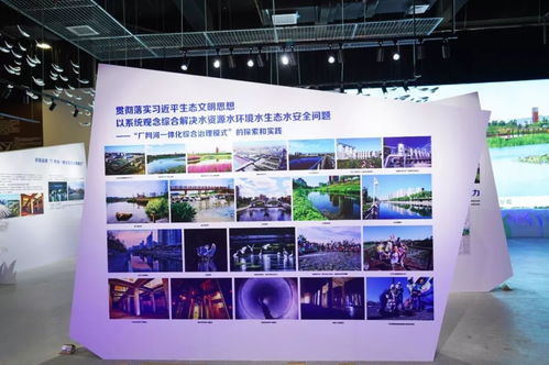 清水綠岸，魚翔淺底 北排尚水文化公司以藝術創意展臺亮相南寧園博園，擘畫城市發展新圖景