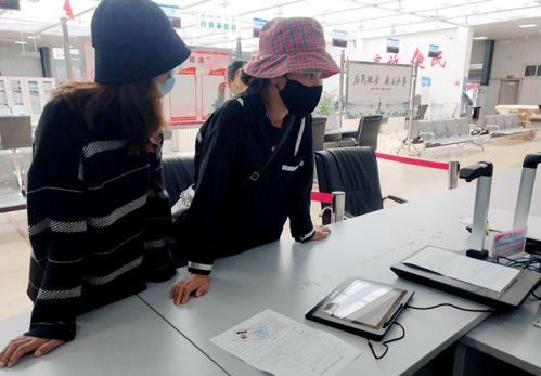 電子政務服務 節能管理便民利民新篇章